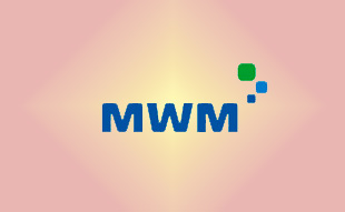 ✓ MWM 4501353 Поршень в сборе 